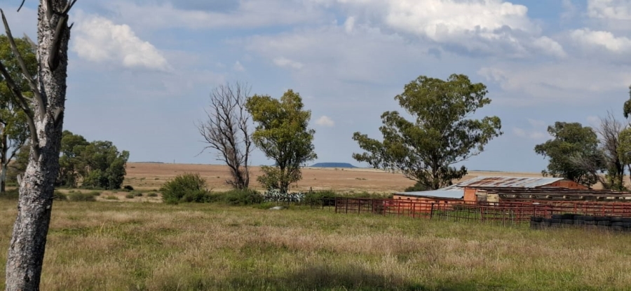4 Bedroom Property for Sale in Bloemfontein Rural Free State